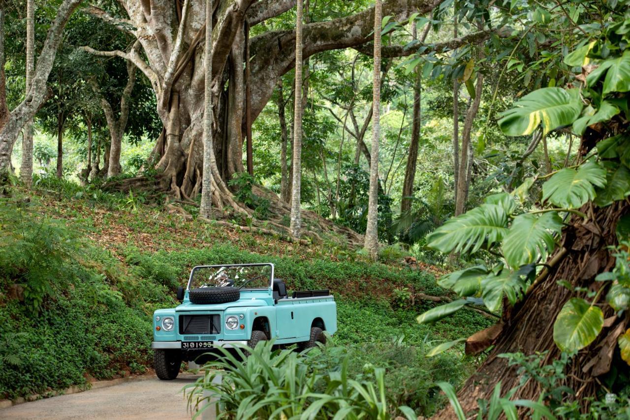 W15 Hanthana Estate Kandy Exteriér fotografie